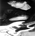 The Photography Of Devorah Ostrov: 3. Jeff McDonald - Redd Kross